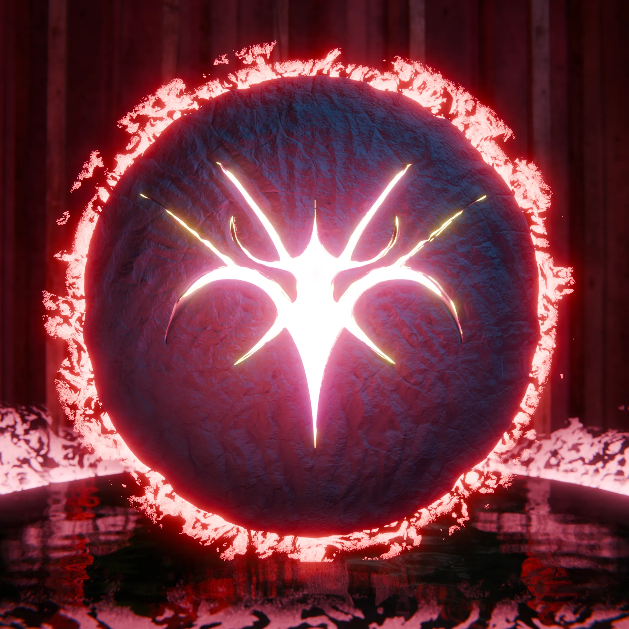 dark coin